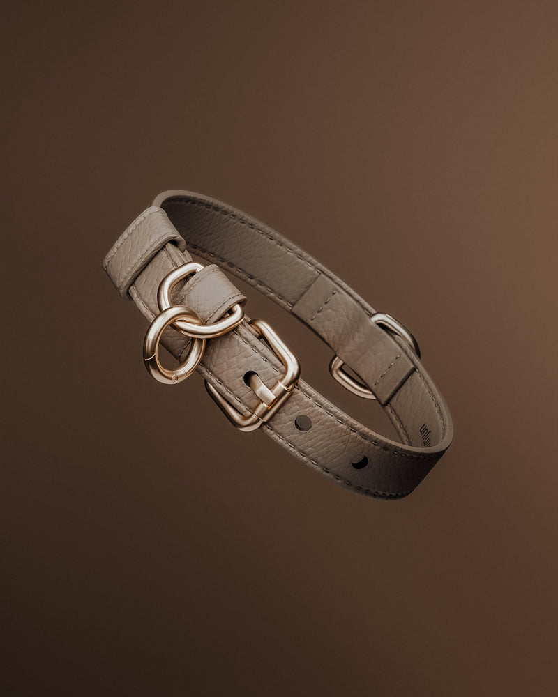 Hazelnut┃Studio Collar