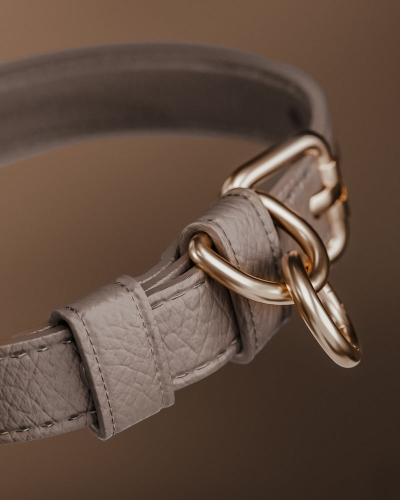 Hazelnut┃Studio Collar