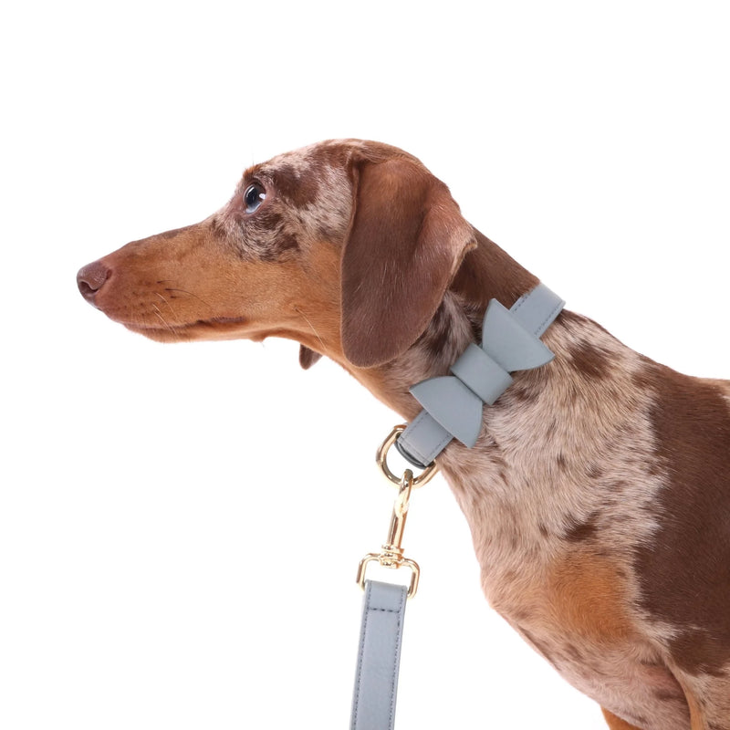 vegan-leather-collar