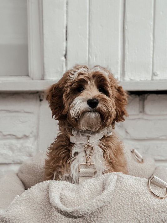 Marshmallow┃Bouclé Collar