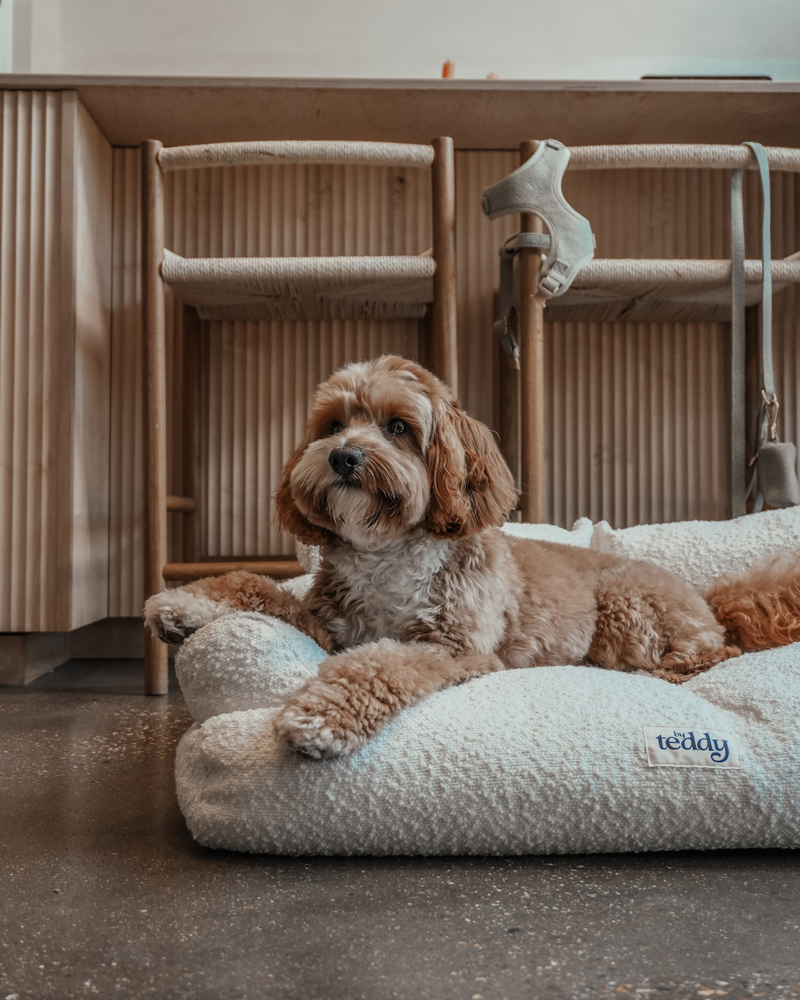 The Teddington Sofa