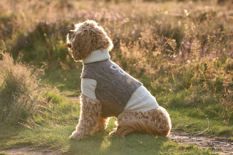 Wooliie_PetClothing_Vest_GratefulHandmadeVirginWoolDogVest3