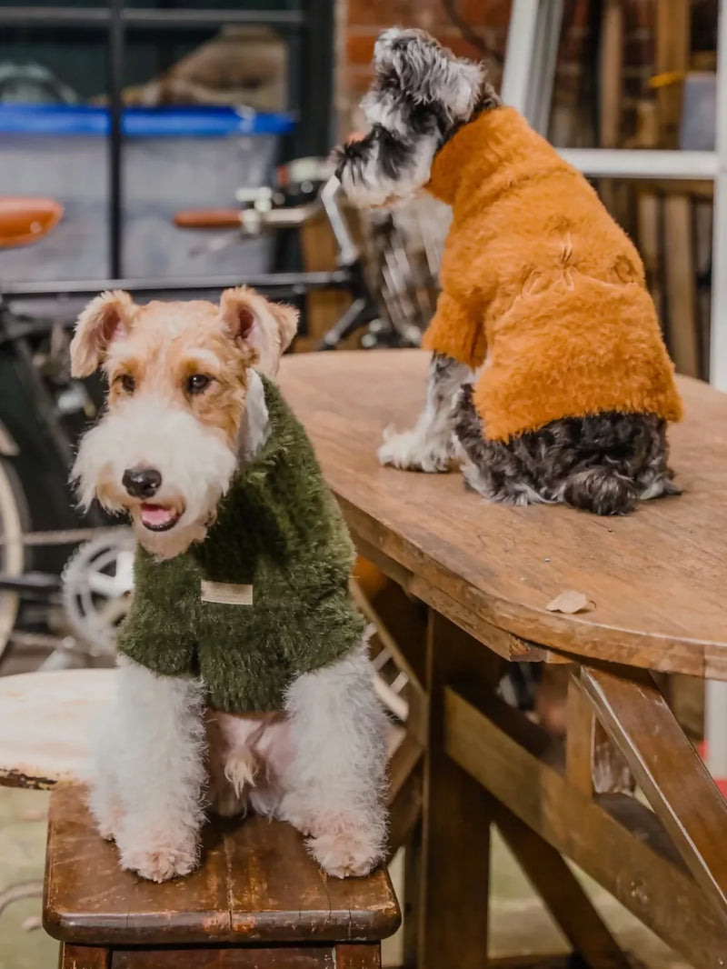 Eskimo Fuzzy Sweater Green & Orange