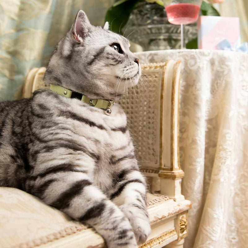Cheshire_WainLuxuryCatCollars-RococoPistachioGreenwithBellAccessory