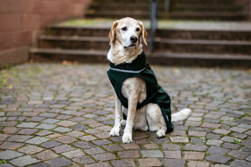 Balu Bild-01