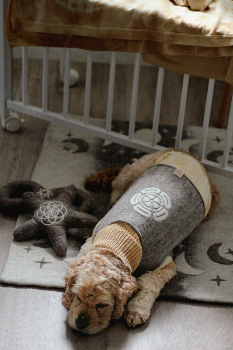 Wooliie_PetClothing_Vest_UnitedHandmadeVirginWoolDogVest2