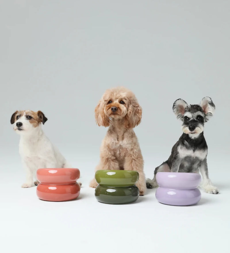 Soufflé Pet Bowl Purple 10