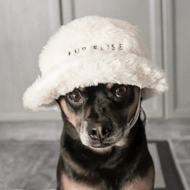 Furi Hat Bundle - Noir