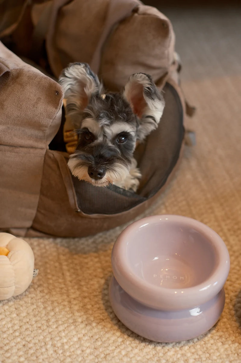 Soufflé Pet Bowl Purple 2