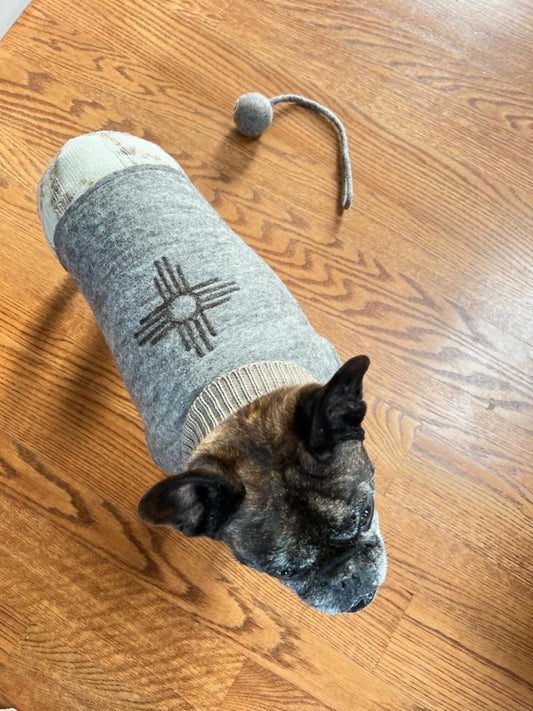 Wooliie_PetClothing_Vest_LuminousHandmadeVirginWoolDogVest2