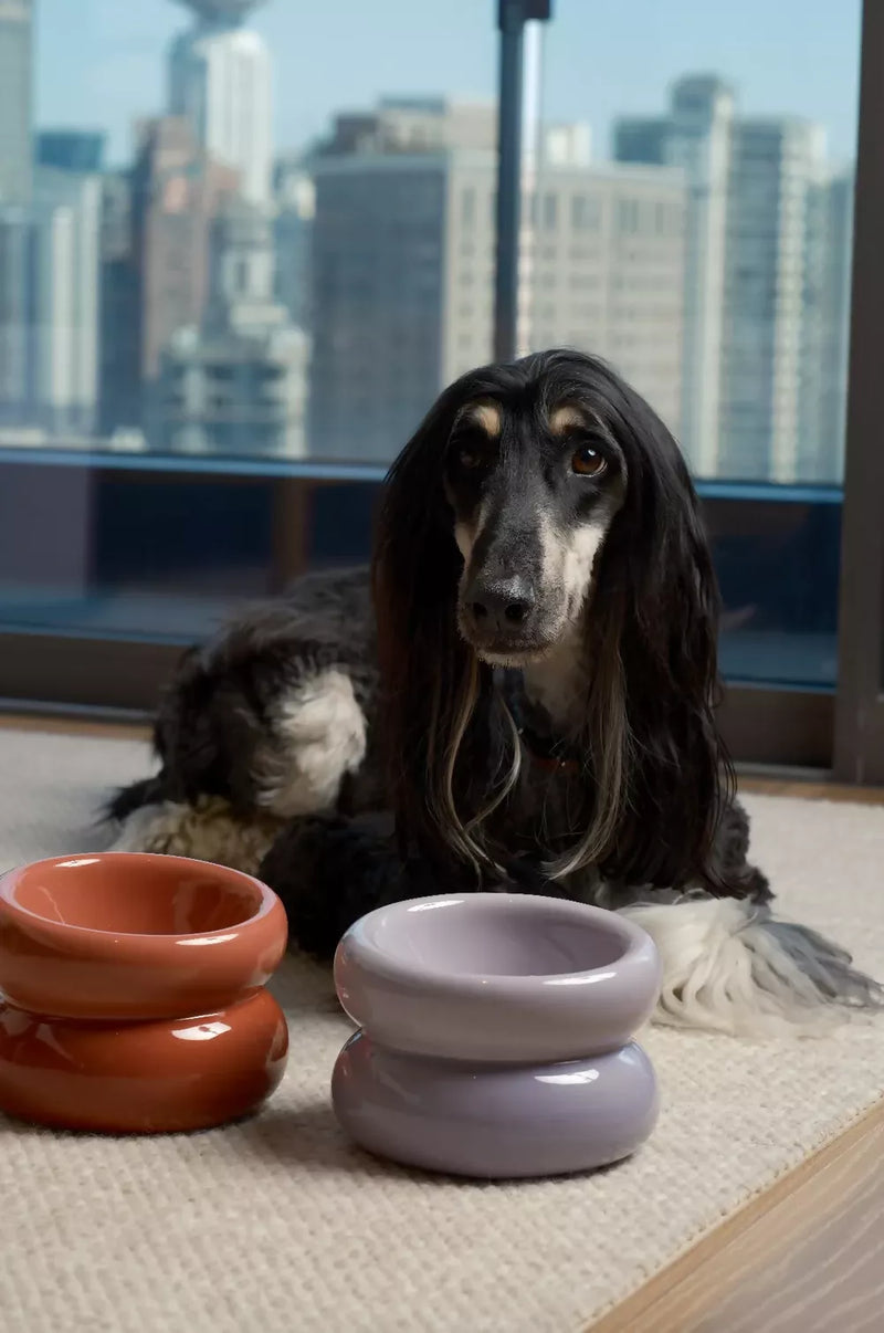 Soufflé Pet Bowl Purple 7