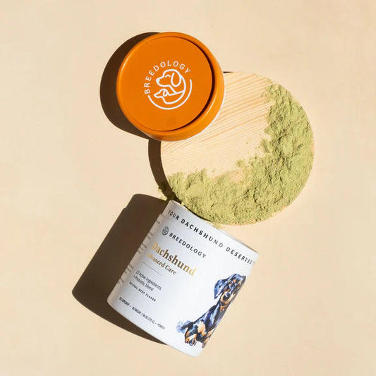 Dachshund Advanced Care by Breedology