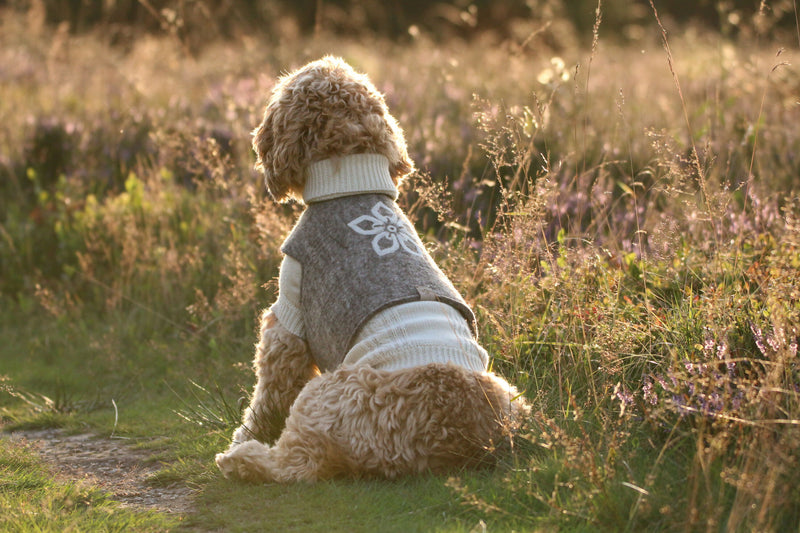 Wooliie_PetClothing_Vest_GratefulHandmadeVirginWoolDogVest1