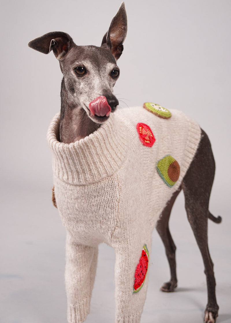 BEA handmade fruit crochet virgin wool dog jumper