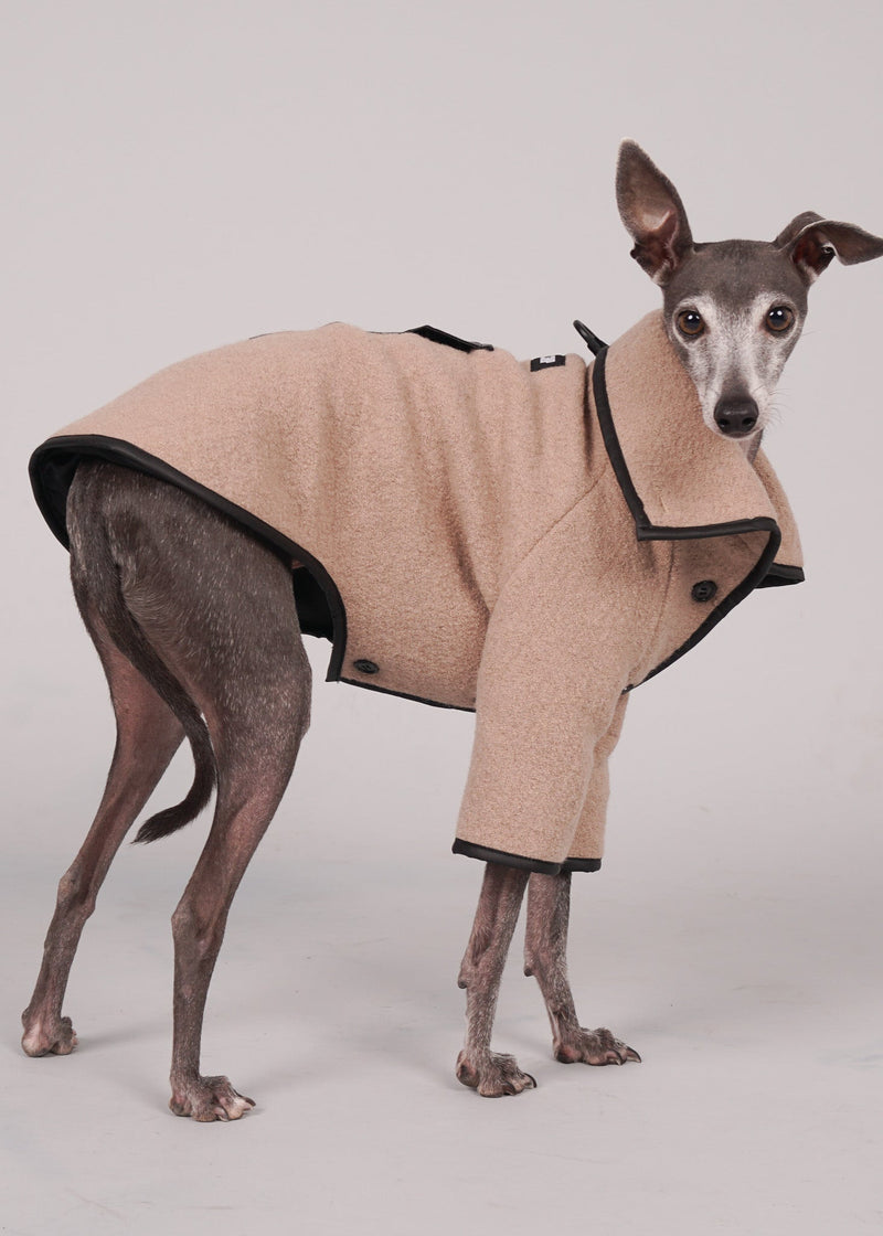 ANELA leather-trimmed 100% wool coat