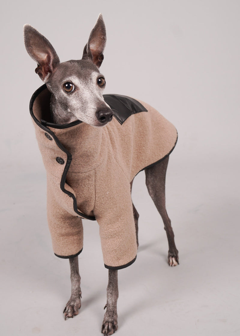 ANELA leather-trimmed 100% wool coat