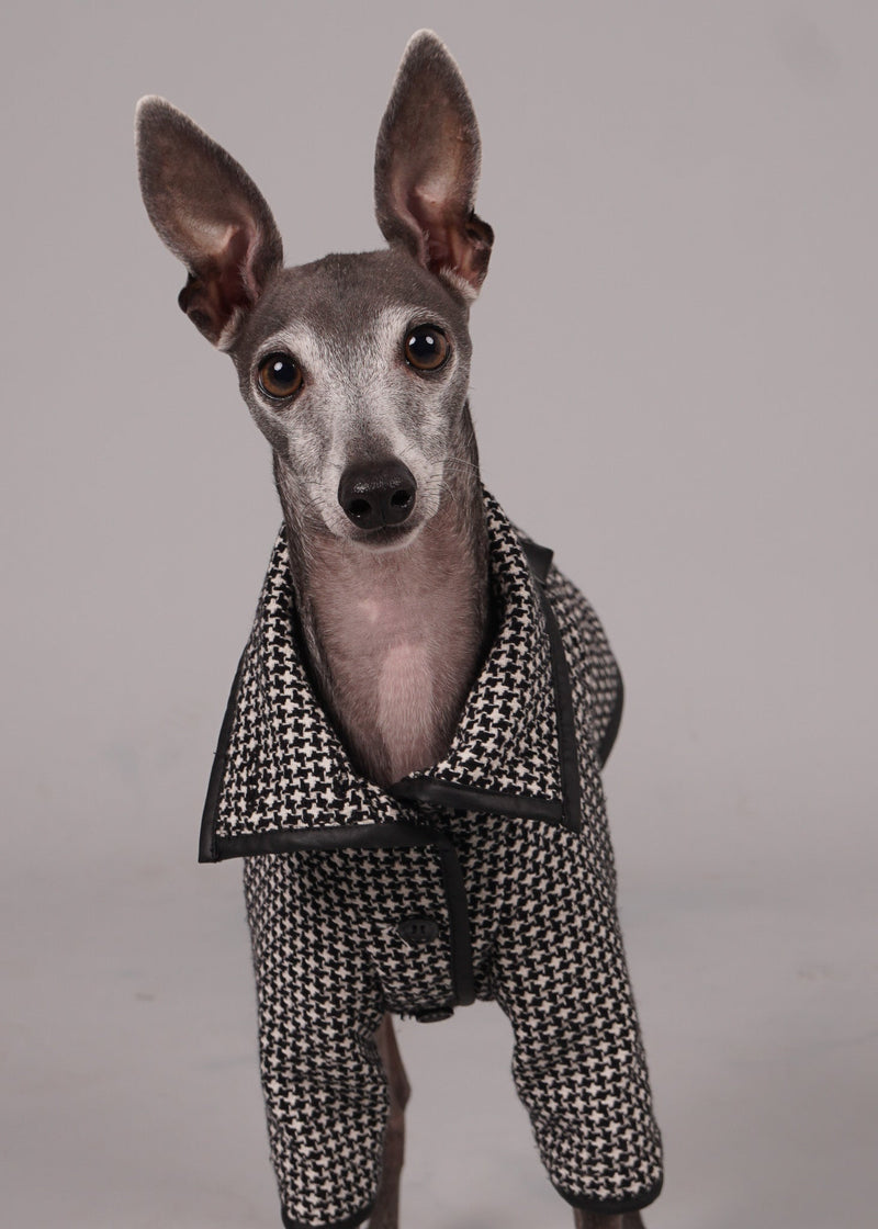 ANELA leather-trimmed wool coat -HOUNDTOOTH