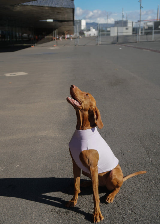 CHASTER Dog Thermal Vest - Lilac