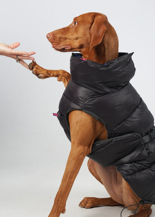 Waterproof Quilted Padded Shell Dog Snow Vest