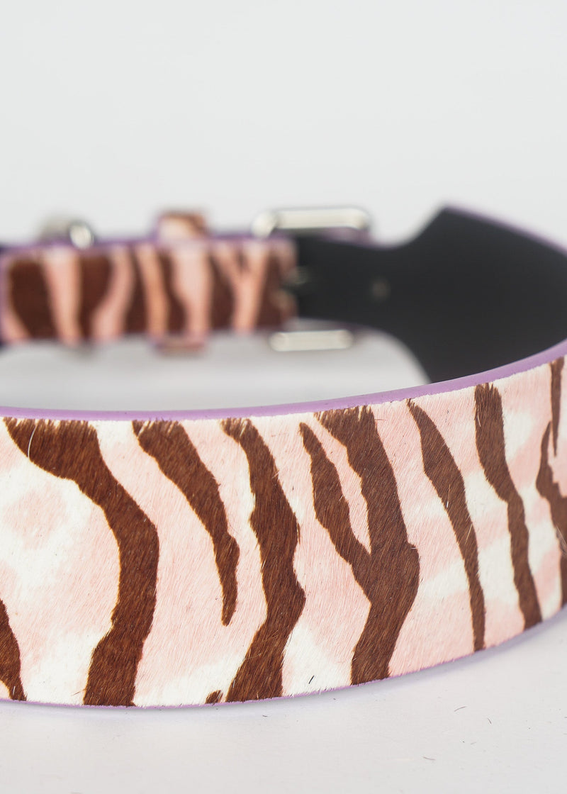 RILEY Zebra Print Dog Collar