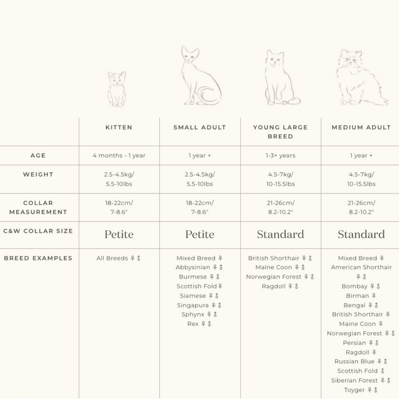 Collar Fitting Guide