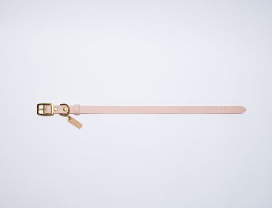 Waterproof Jellies Collar - Dune