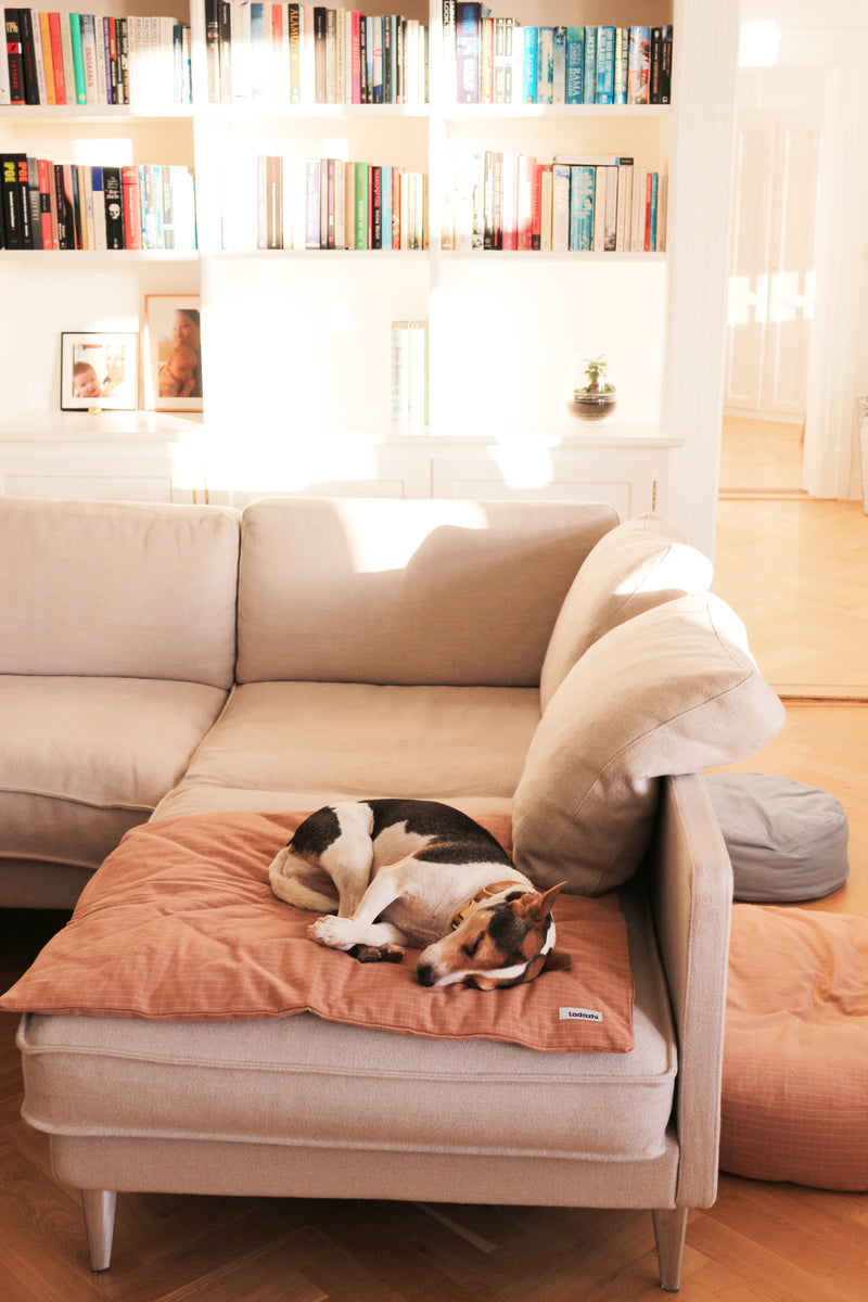Duvet dog blanket chequered Rose