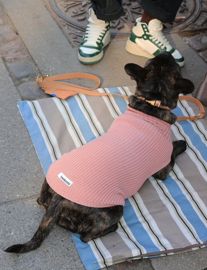 Duvet dog blanket Classic striped