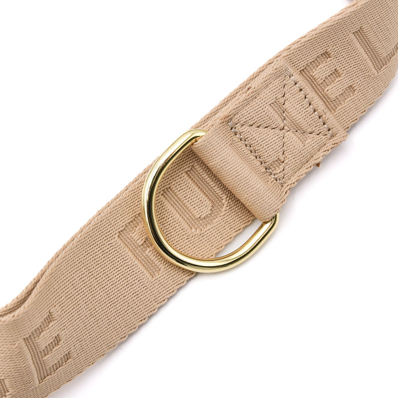 Belt bag d-ring