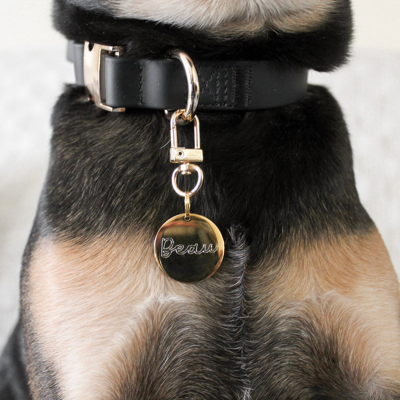 Elise Collar - Noir