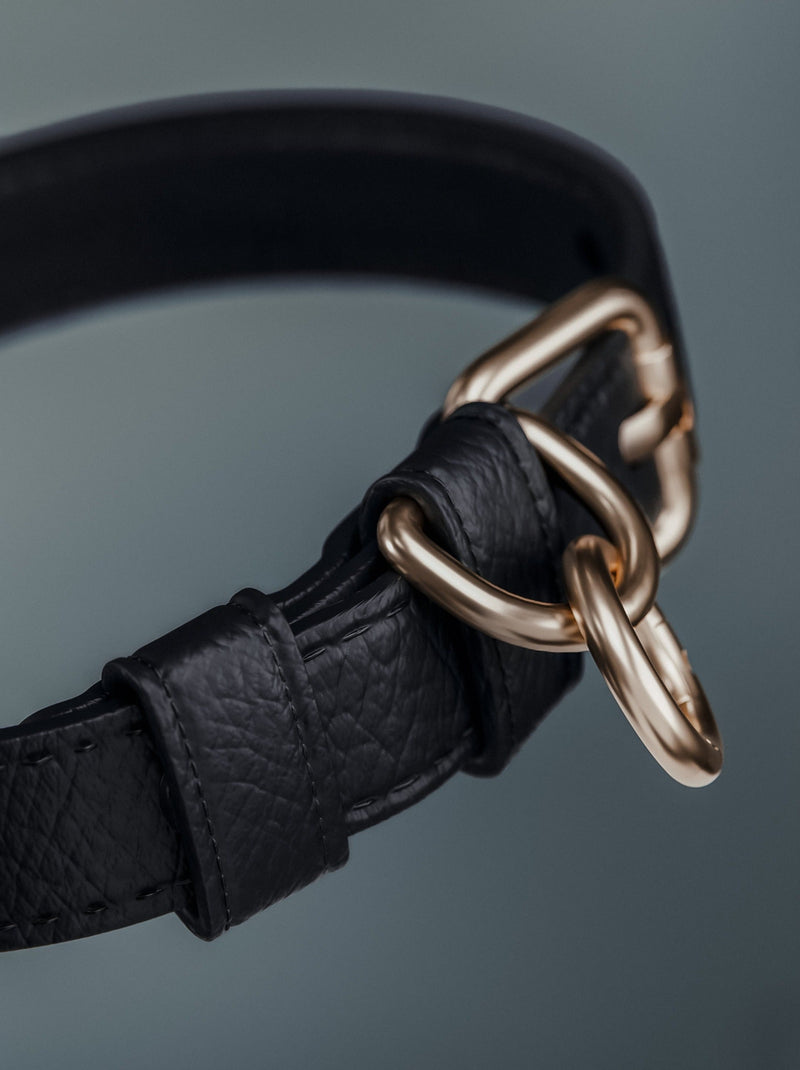 Midnight┃Studio Collar