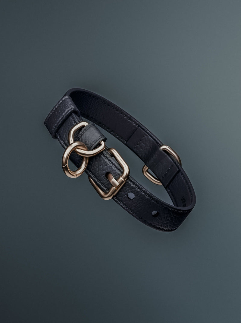 Midnight┃Studio Collar