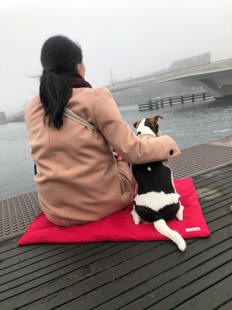 Duvet dog blanket Warm Red