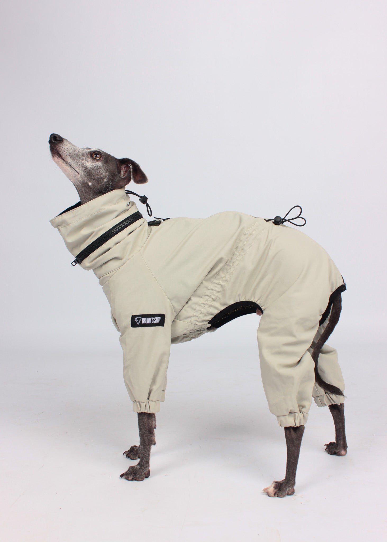 EL CAPITAN Iconic Dog Windbreaker - Beige