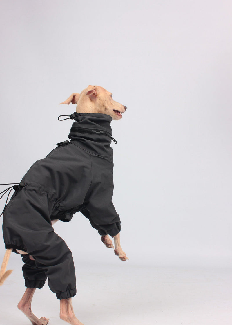 EL CAPITAN windbreaker - ANTHRACITE