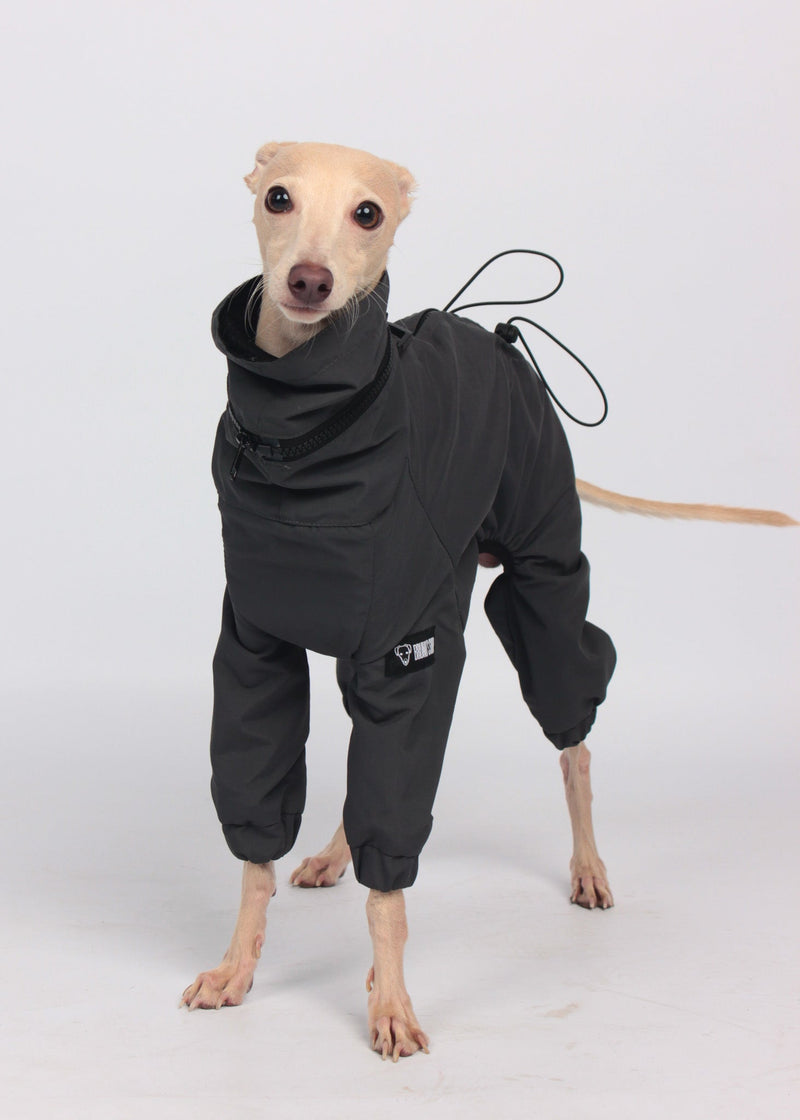 EL CAPITAN windbreaker - ANTHRACITE