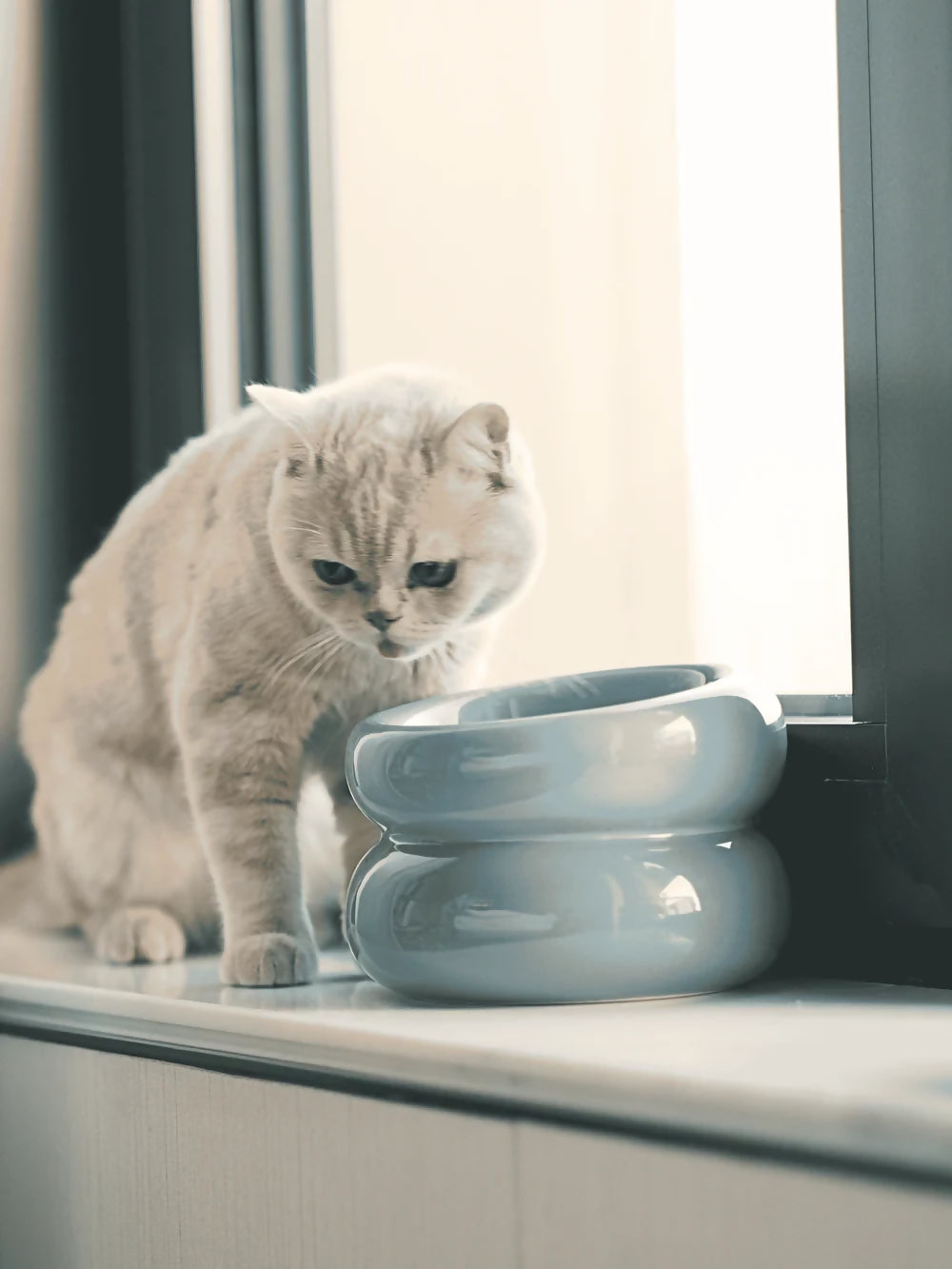 Soufflé Pet Bowl Frozen Blue 2