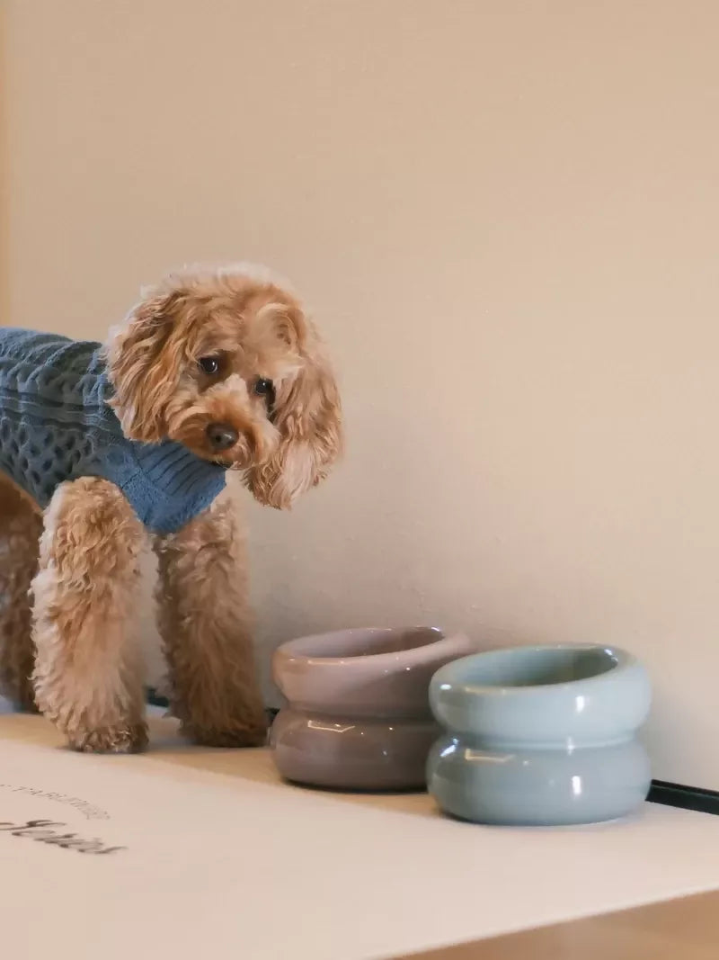 Soufflé Pet Bowl Frozen Blue 4