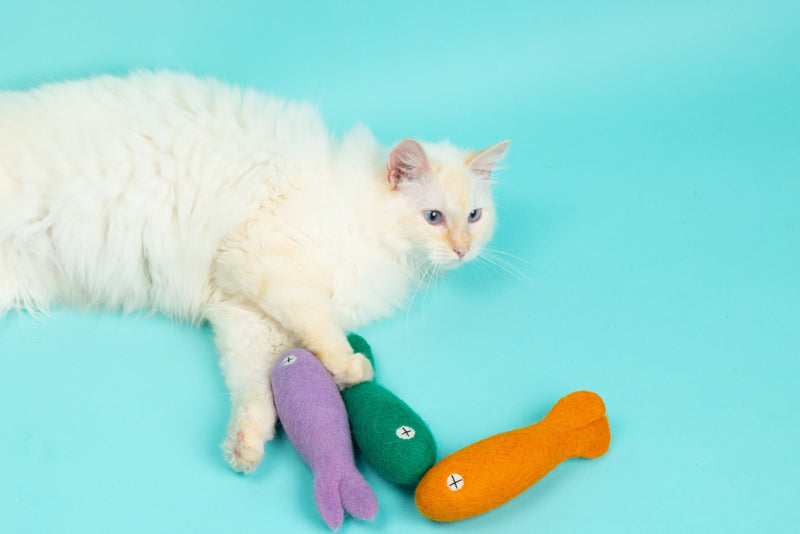 Felix the Fish 20cm - Felt Cat Toy