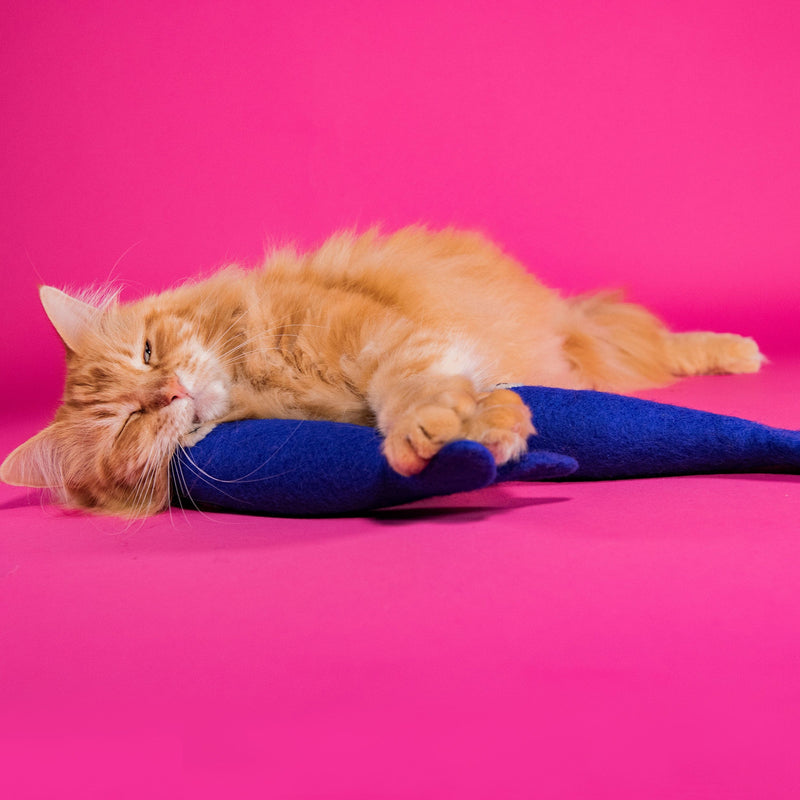 Felt Cat Toys - Freddy The Big Fish | Mimis Daughters