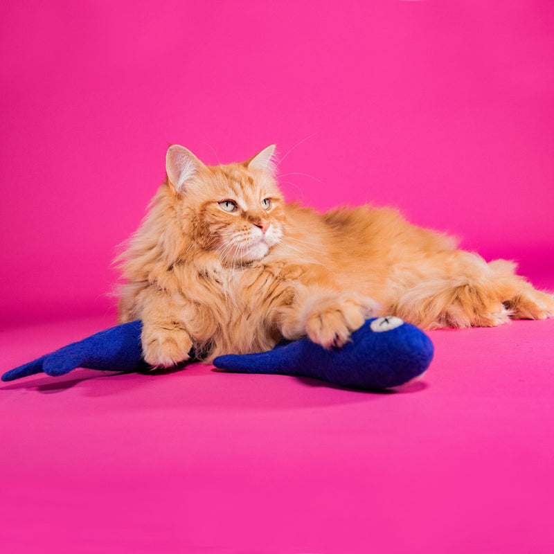 Felt Cat Toys - Freddy The Big Fish | Mimis Daughters