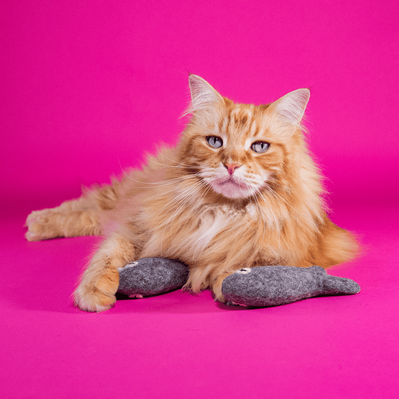 Felt Cat Toy - Felix the Fish 20cm | Mimis Daughters