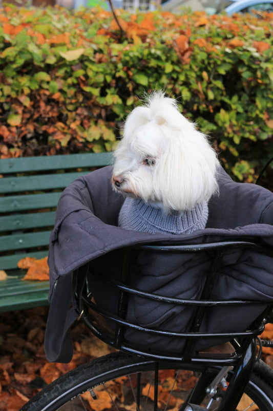RIO Dog Bag Carrier Warm grey