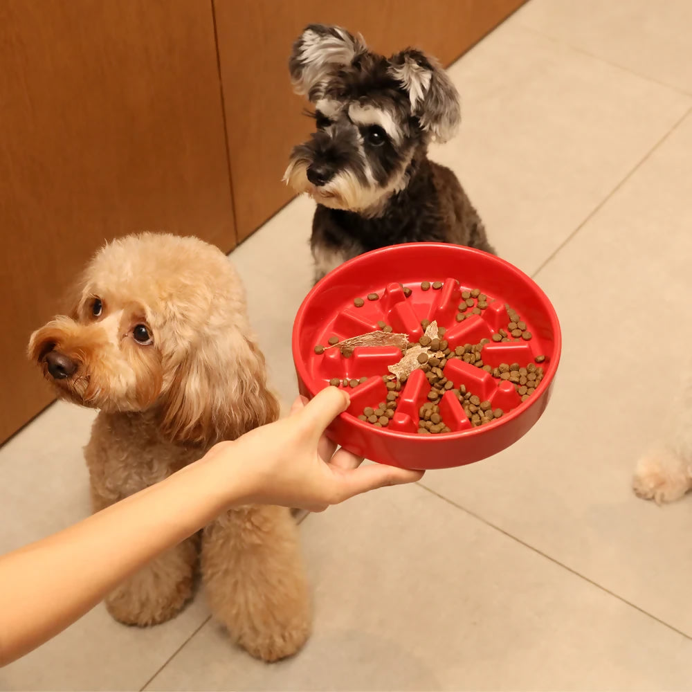 Slow Feeder Dog Bowls Wave 13
