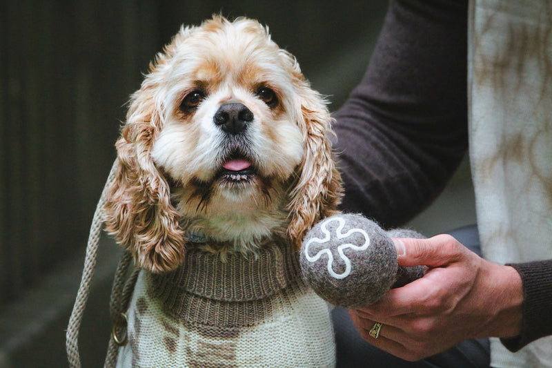 Wooliie_PetToys_DogToys_HandmadeWoolDogToys-LifeAfterDeathDumbbell2