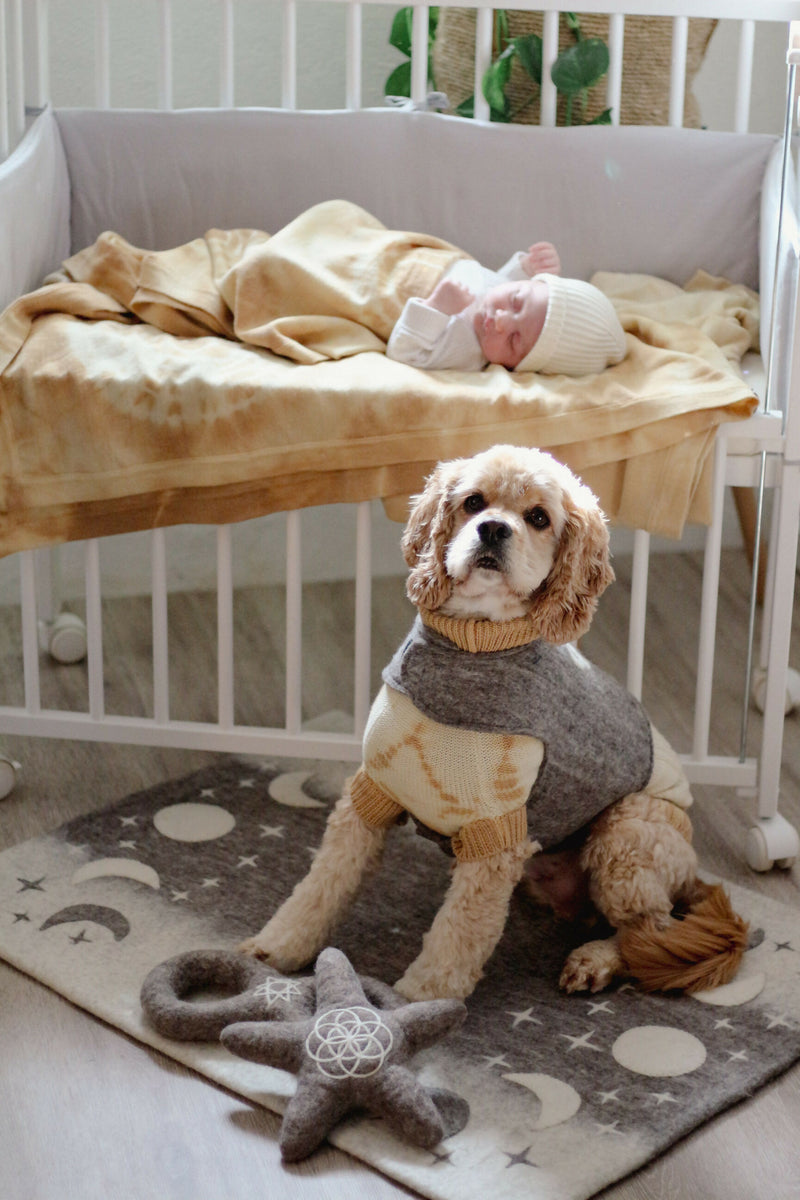 Wooliie_PetClothing_Vest_GratefulHandmadeVirginWoolDogVest4
