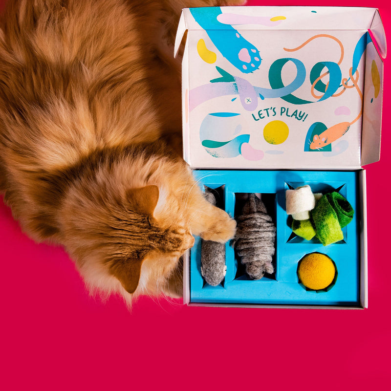 Eco Cat Toy - The Woolie Cat Toy Box | Mimis Daughters