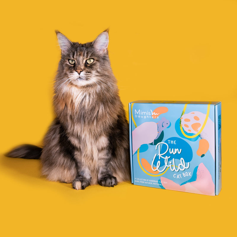 Daughters-The-Run-Wild-Felt-Cat-Toy-Box