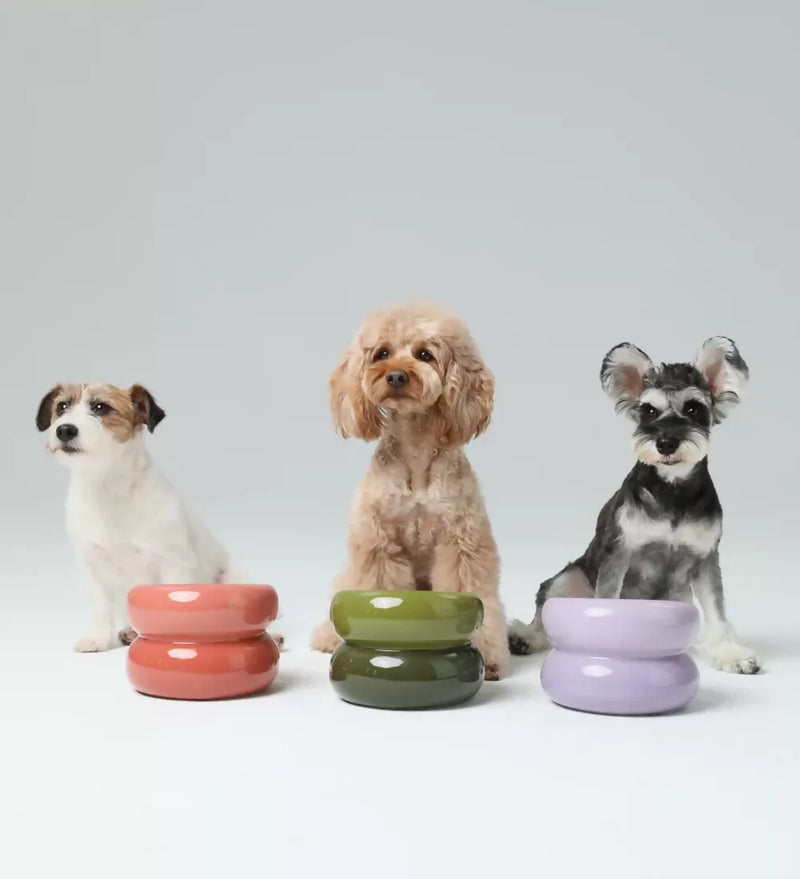 Soufflé Pet Bowl Purple 10