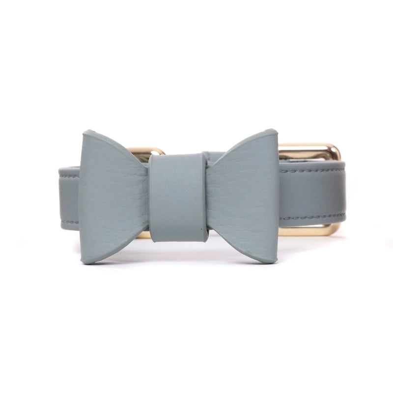 bow-collar-dog